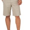 Men's Big & Tall Flat Front Short