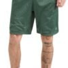 Men's Shorts, Men's Mesh Gym Shorts, Lightweight Athletic Shorts (Reg. Or Big & Tall)